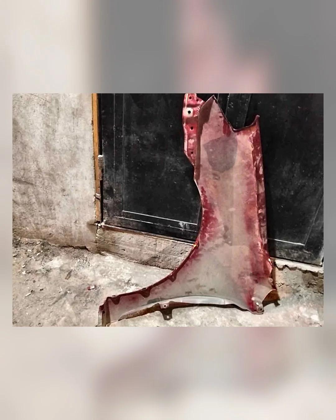 كبوت + رفرف بي واي دي F3 — استيراد