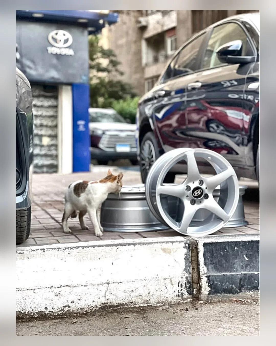طقم جنوط 15 بوصة 4×100 7J — استيراد