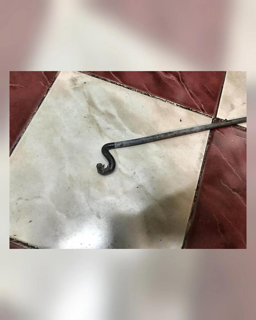 سلك كبوت أصلي سوزوكي سويفت — استيراد